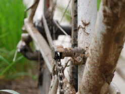 Paul Components Chain Keeper - Black -Brick Lane Bikes Shop 0001831 paul components chain keeper black