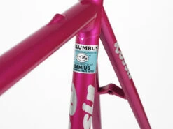 Rossin Performance EL Frameset - 55cm