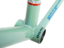 Bianchi Genius Frame - 55cm -Brick Lane Bikes Shop 0026455 bianchi genius frame 55cm