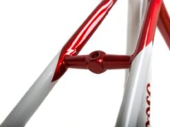 Bottecchia Road Frameset - 55cm