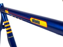 Cinelli Aliante Pro-Team Frameset - 55.5cm -Brick Lane Bikes Shop 0031227 cinelli aliante pro team frameset 555cm