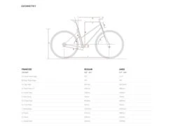 6KU Odessa 8spd City Bike - Madison Gold 10 6KU Odessa 8spd City Bike - Madison Gold -Brick Lane Bikes Shop 0031771 6ku odessa 8spd city bike madison gold