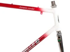 Gazelle Champion Mondial Road Frameset - 58cm -Brick Lane Bikes Shop 0032650 gazelle champion mondial road frameset 58cm