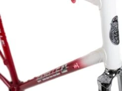 Gazelle Champion Mondial Road Frameset - 58cm -Brick Lane Bikes Shop 0032653 gazelle champion mondial road frameset 58cm