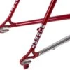 Gazelle Champion Mondial Road Frameset - 58cm