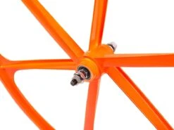Teny 6 Spoke Front Wheel - Orange