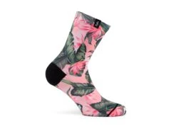 Pacific And Co - Boa Vista Pink (Women)