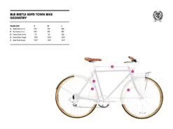 BLB Beetle 8spd Town Bike - Moss Blue