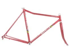 Gazelle Triathlon Trophy Frameset - 54.5cm -Brick Lane Bikes Shop 0039165 gazelle triathlon trophy frameset 545cm