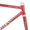 Gazelle Triathlon Trophy Frameset - 54.5cm