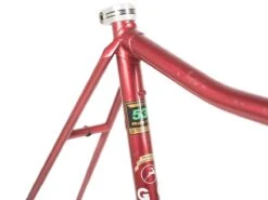 Gazelle Triathlon Trophy Frameset - 54.5cm -Brick Lane Bikes Shop 0039169 gazelle triathlon trophy frameset 545cm