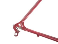 Gazelle Triathlon Trophy Frameset - 54.5cm -Brick Lane Bikes Shop 0039170 gazelle triathlon trophy frameset 545cm