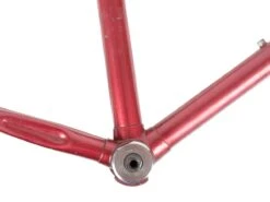 Gazelle Triathlon Trophy Frameset - 54.5cm -Brick Lane Bikes Shop 0039171 gazelle triathlon trophy frameset 545cm