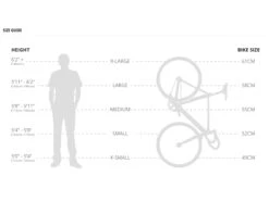 Brick Lane Bikes Shop -Brick Lane Bikes Shop 0040475 2020 aventon cordoba fixie single speed bike desert