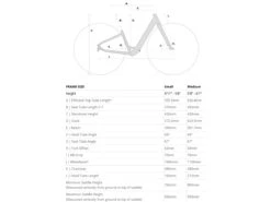 Aventon Pace 250 - Step Through Electric Bike -Brick Lane Bikes Shop 0041697 aventon pace 250 step through electric bike