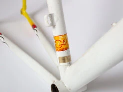 Raleigh R700 Frameset -54cm