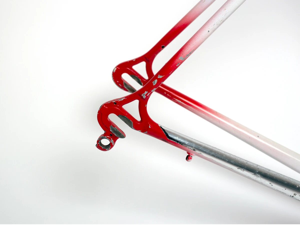 Zanardo Sergio Frameset 54cm 6 Zanardo Sergio Frameset 54cm - Image 4