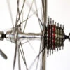 Campagnolo Sigma X Campagnolo Record Rear Road Wheel